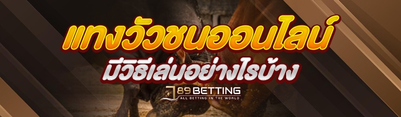 แทงวัวชนออนไลน์ มีวิธีเล่นอย่างไรบ้าง