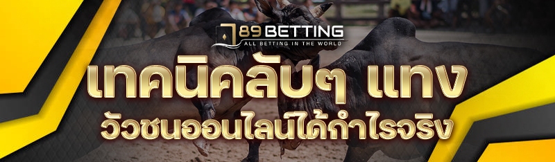 เทคนิคลับๆ แทงวัวชนออนไลน์ได้กำไรจริง